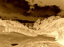 Sepia + Negatyw