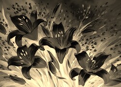 Sepia + Negatyw