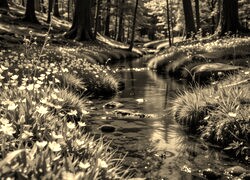 Sepia