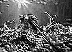 Skamielina