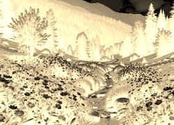 Sepia + Negatyw