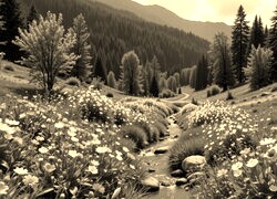 Sepia