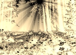 Sepia + Negatyw