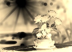 Sepia + Negatyw