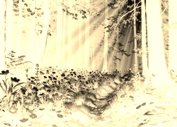 Sepia + Negatyw