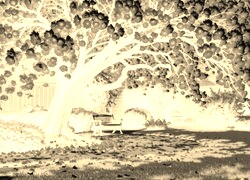Sepia + Negatyw