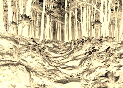 Sepia + Negatyw