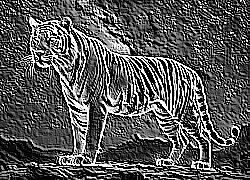 Skamielina