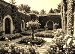 Sepia