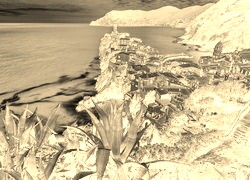 Sepia + Negatyw