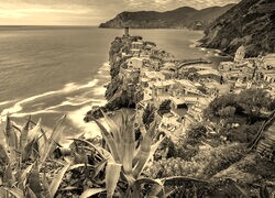 Szary + Sepia