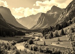 Szary + Sepia