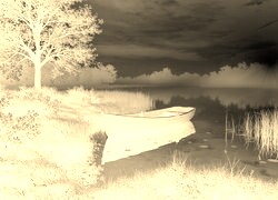 Sepia + Negatyw
