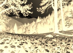Sepia + Negatyw