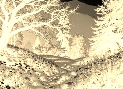 Sepia + Negatyw