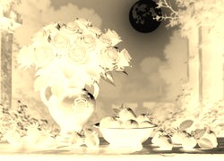 Sepia + Negatyw