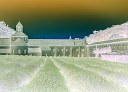 Negatyw