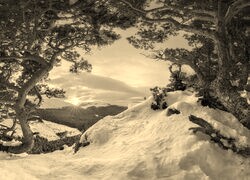 Szary + Sepia