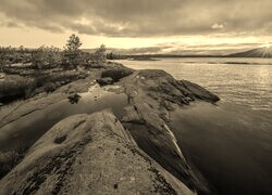 Szary + Sepia
