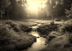 Sepia