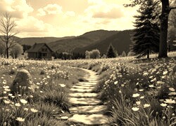 Sepia
