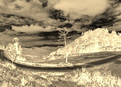 Sepia + Negatyw
