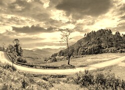 Sepia