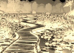 Sepia + Negatyw