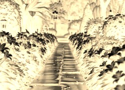 Sepia + Negatyw