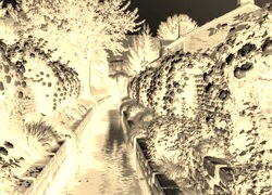 Sepia + Negatyw