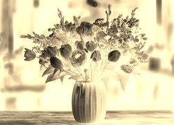Sepia + Negatyw
