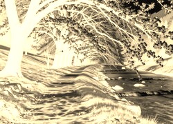 Sepia + Negatyw