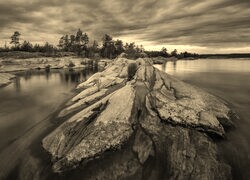 Szary + Sepia