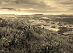 Szary + Sepia