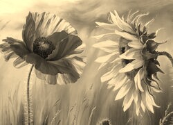 Szary + Sepia