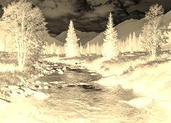 Sepia + Negatyw