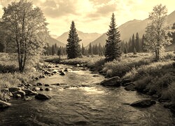 Sepia