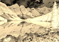 Sepia + Negatyw