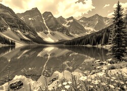 Szary + Sepia