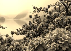 Szary + Sepia