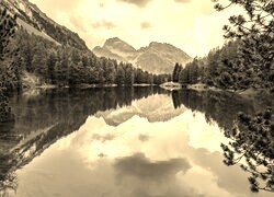 Szary + Sepia