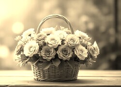 Szary + Sepia