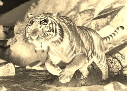 Sepia + Negatyw