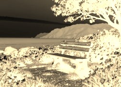Sepia + Negatyw