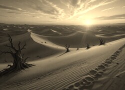 Szary + Sepia