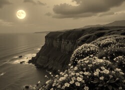 Sepia