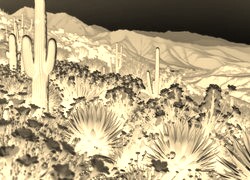Sepia + Negatyw