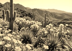 Sepia