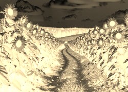 Sepia + Negatyw