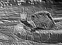 Skamielina